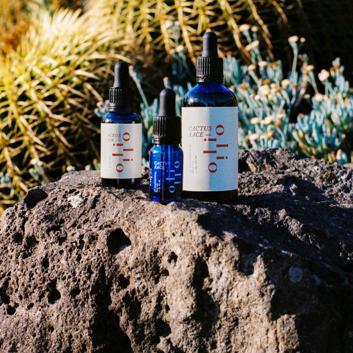 Bottles of by oli oli cactus face on a rocky surface with desert plants in the background